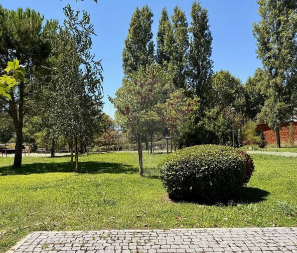 Apartamento T3 para Venda em Castelo Branco Foto 38