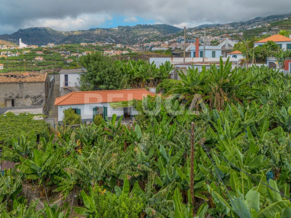 Moradia T2 para Venda em São Martinho Foto 7