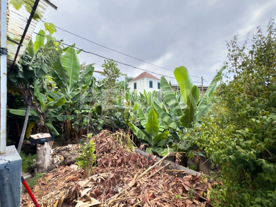 Moradia T2 para Venda em São Martinho Foto 40