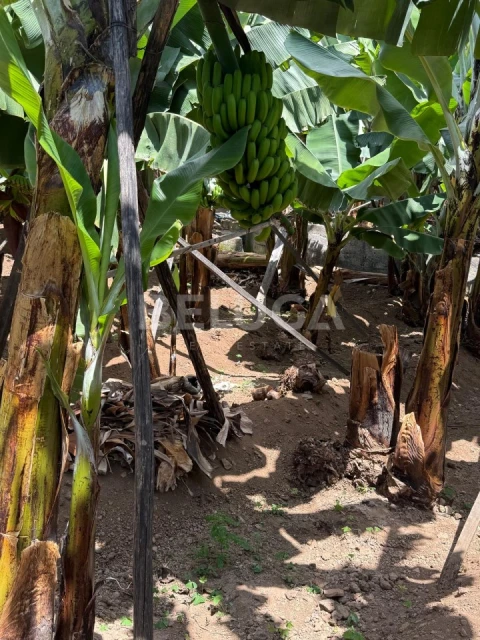 Moradia T2 para Venda em São Martinho