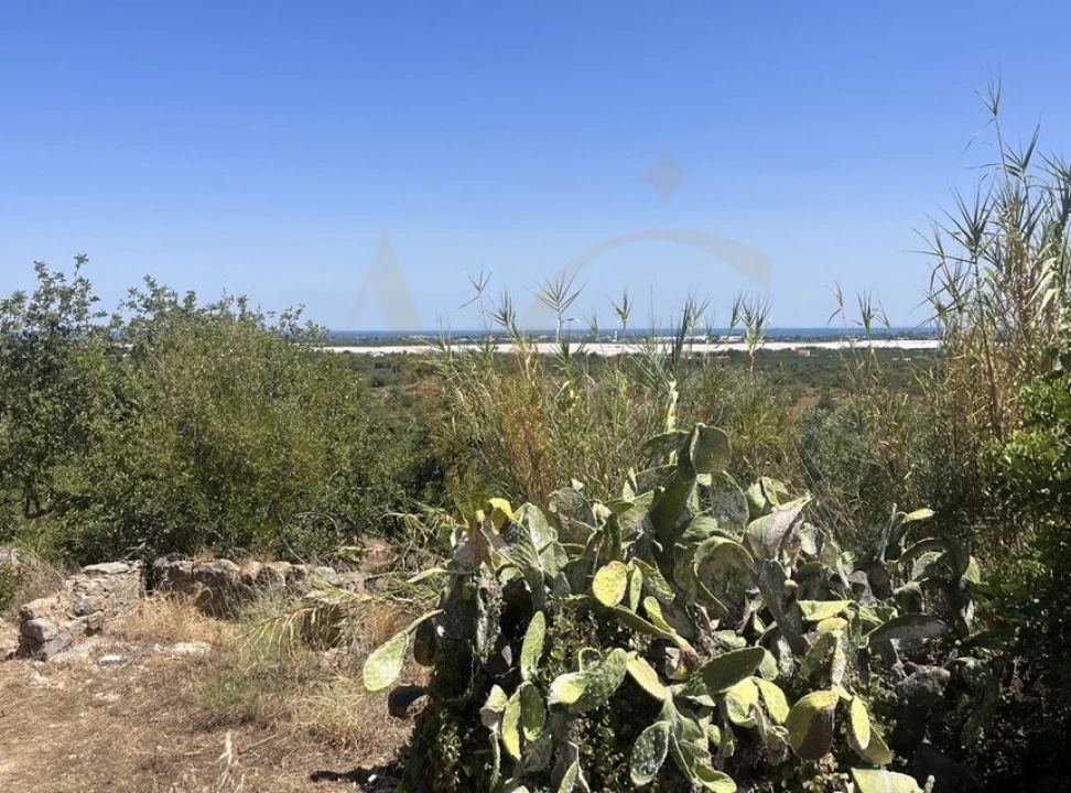 Moradia T3 para Venda em Luz de Tavira e Santo Estêvão Foto 1