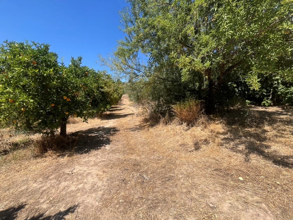 Moradia T3 para Venda em Luz de Tavira e Santo Estêvão Foto 30
