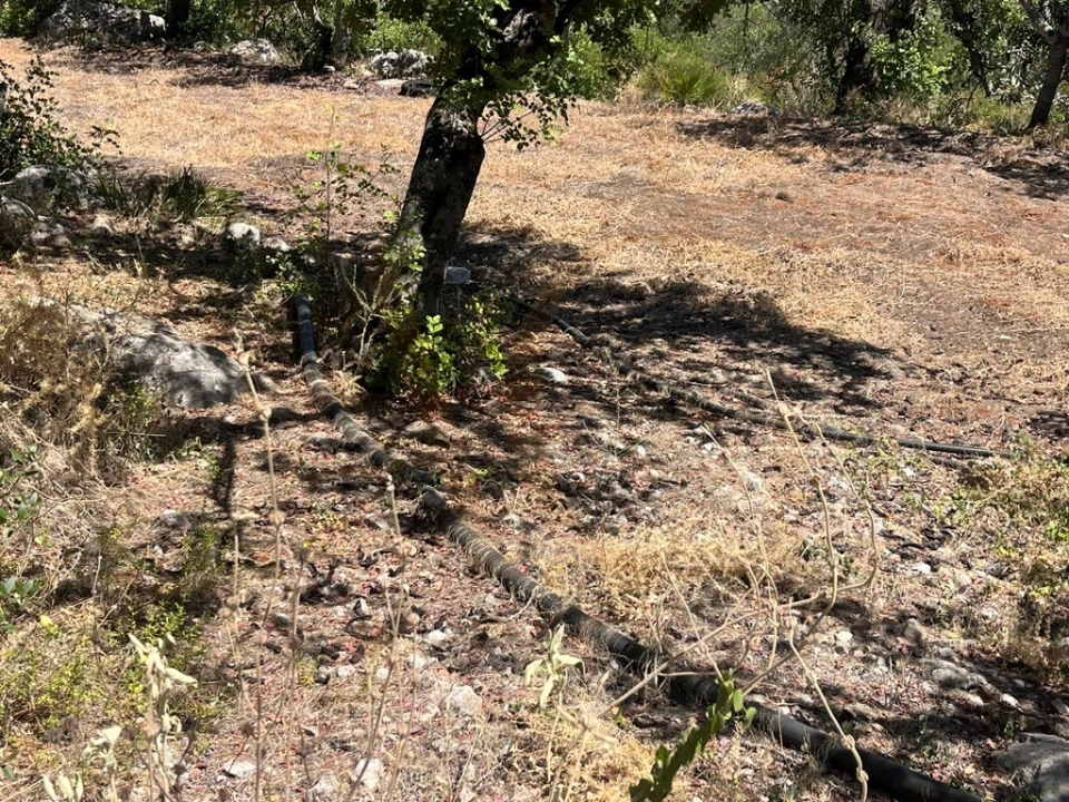 Moradia T3 para Venda em Luz de Tavira e Santo Estêvão Foto 52