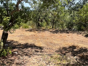 Moradia T3 para Venda em Luz de Tavira e Santo Estêvão