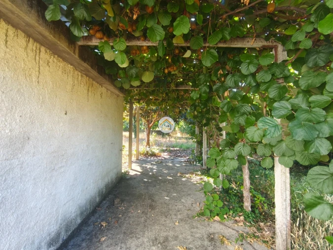 Moradia T4 para Venda em Tondela e Nandufe Foto 21