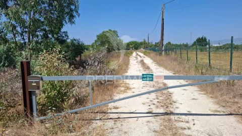 Terreno para Venda em Santo Estêvão