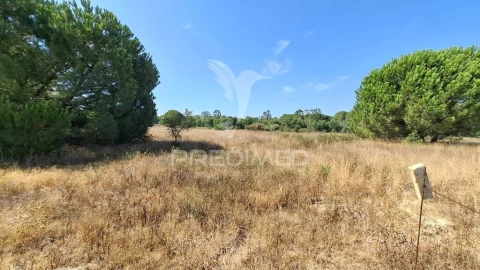 Terreno para Venda em Santo Estêvão