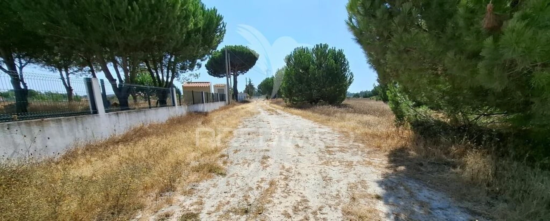 Terreno para Venda em Santo Estêvão Foto 8