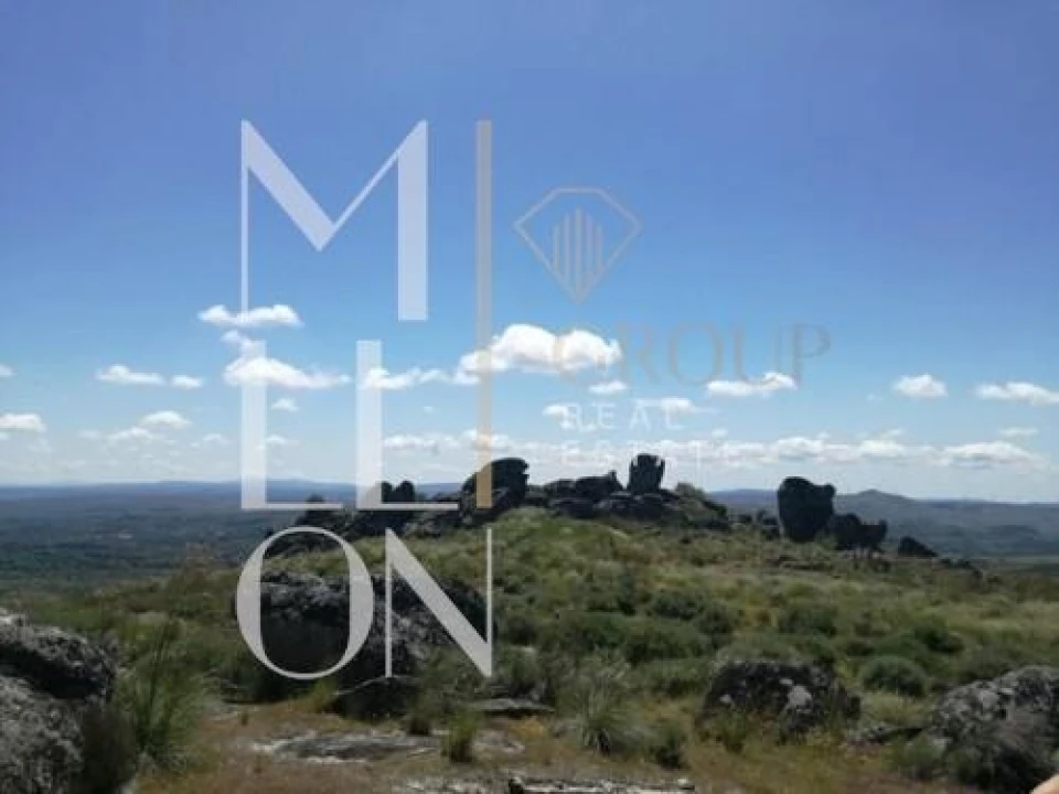 Moradia T2 para Venda em Pousafoles do Bispo, Pena Lobo e Lomba Foto 16