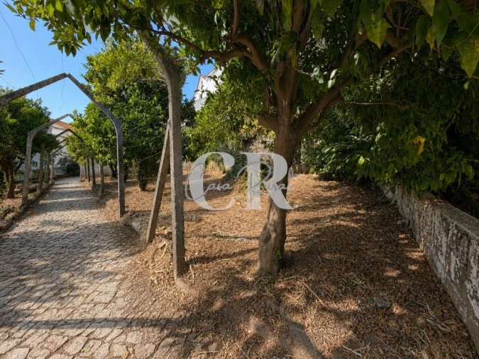 Prédio para Venda em Castanheira de Pêra e Coentral Foto 45