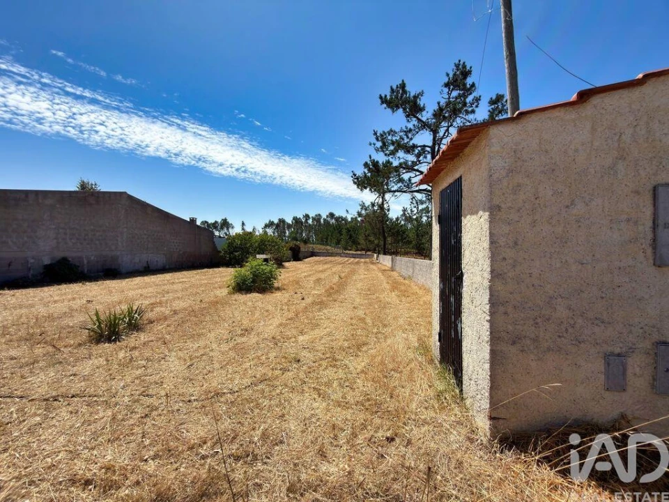 Terreno para Venda em Vieira de Leiria Foto 4