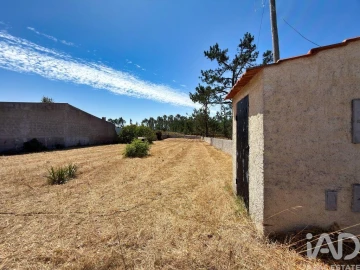 Terreno para Venda em Vieira de Leiria