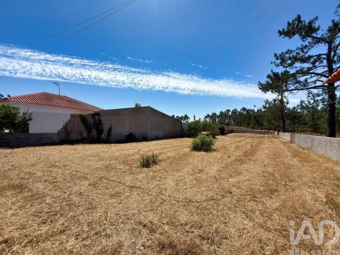 Terreno para Venda em Vieira de Leiria Foto 2