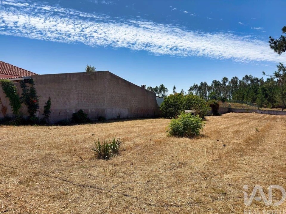 Terreno para Venda em Vieira de Leiria Foto 3
