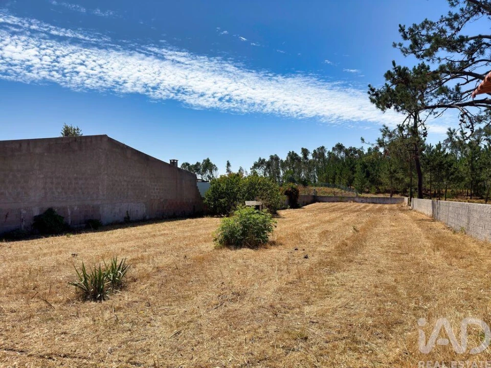 Terreno para Venda em Vieira de Leiria Foto 1