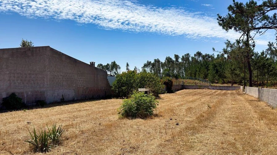 Terreno para Venda em Vieira de Leiria