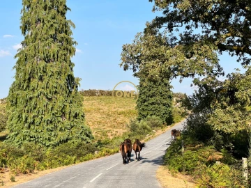 Moradia T3 para Venda em Chorense e Monte