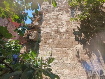 Quinta T8 para Venda em Tabuaço