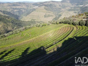 Quinta T8 para Venda em Tabuaço