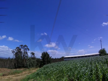 Terreno para Venda em Paião