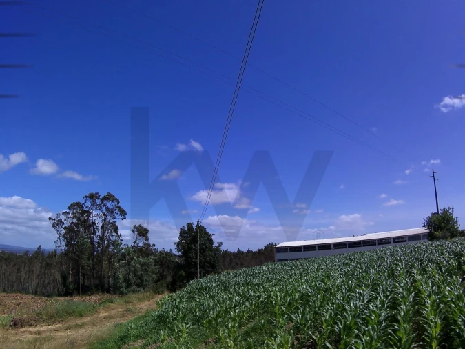 Terreno para Venda em Paião Foto 6
