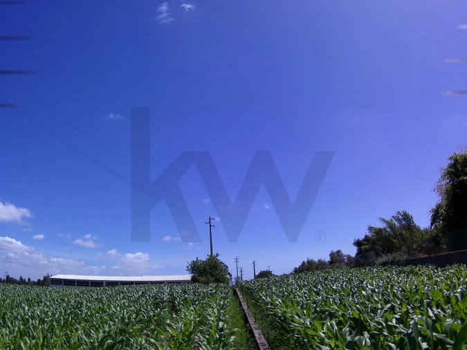 Terreno para Venda em Paião Foto 7