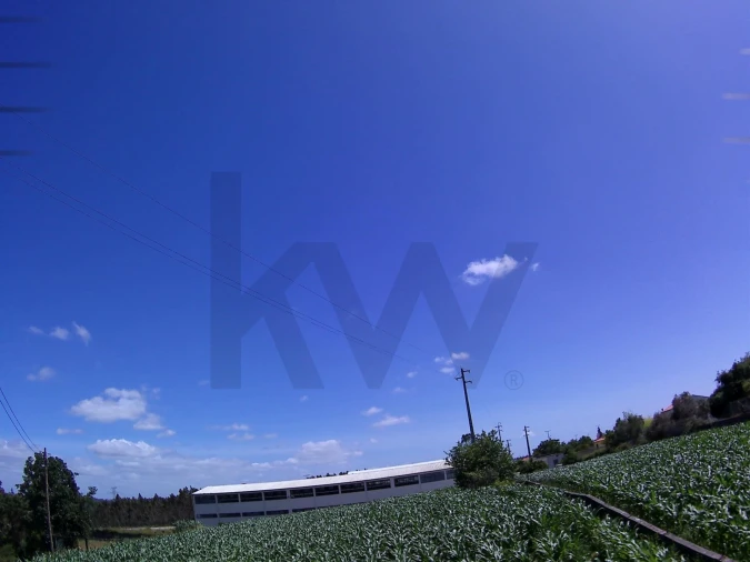 Terreno para Venda em Paião Foto 4