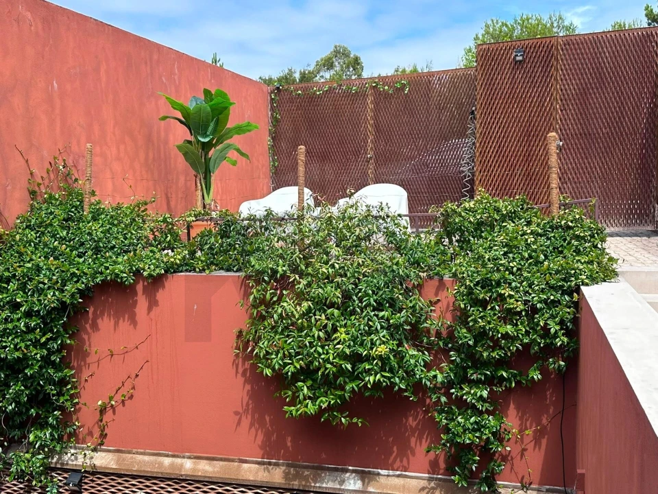 Moradia T2 para Arrendamento em Vau Foto 7