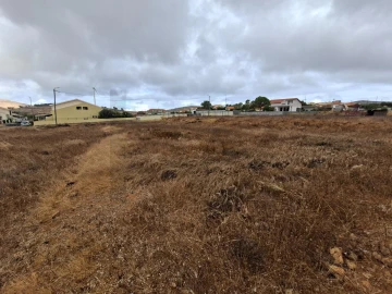 Terreno para Venda em Porto Santo