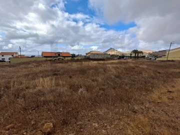 Terreno para Venda em Porto Santo