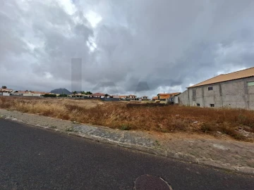 Terreno para Venda em Porto Santo