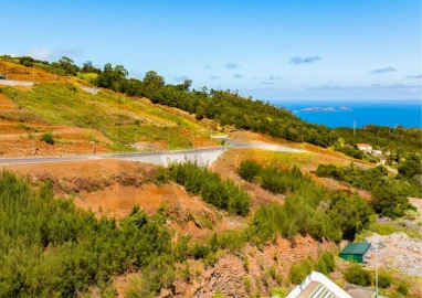 Terreno para Venda em Santa Cruz