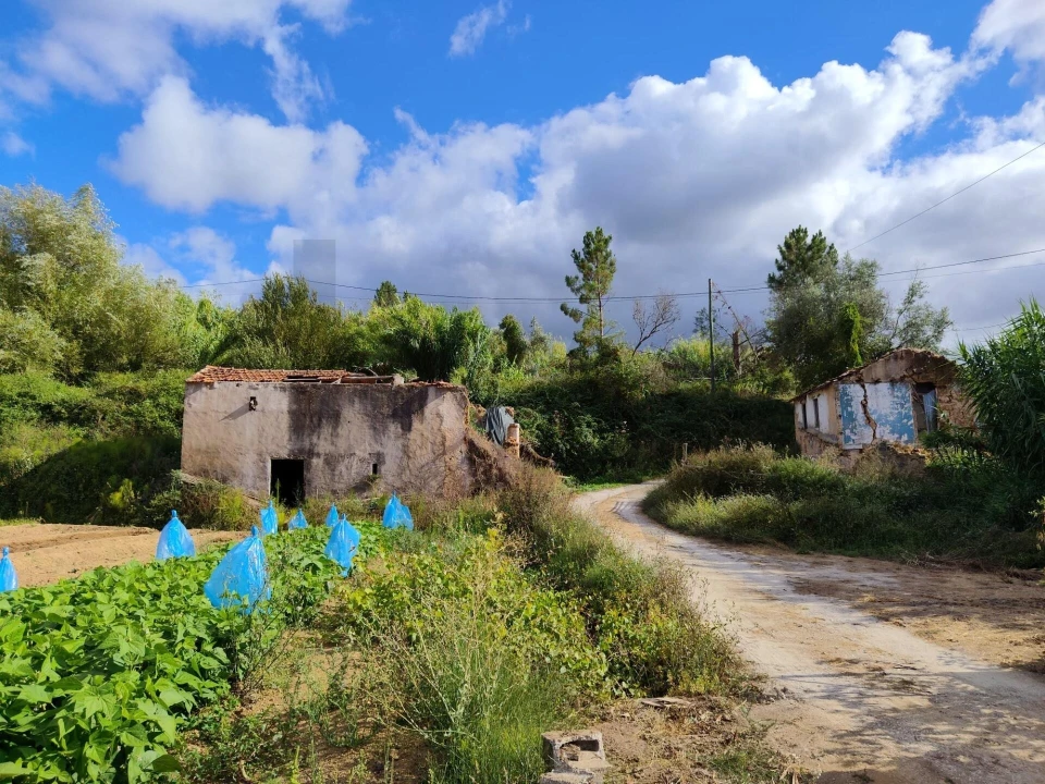 Quinta T3 para Venda em Condeixa-A-Velha e Condeixa-A-Nova Foto 9