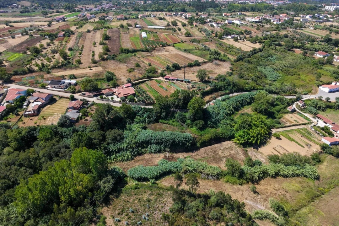 Quinta T3 para Venda em Condeixa-A-Velha e Condeixa-A-Nova Foto 21