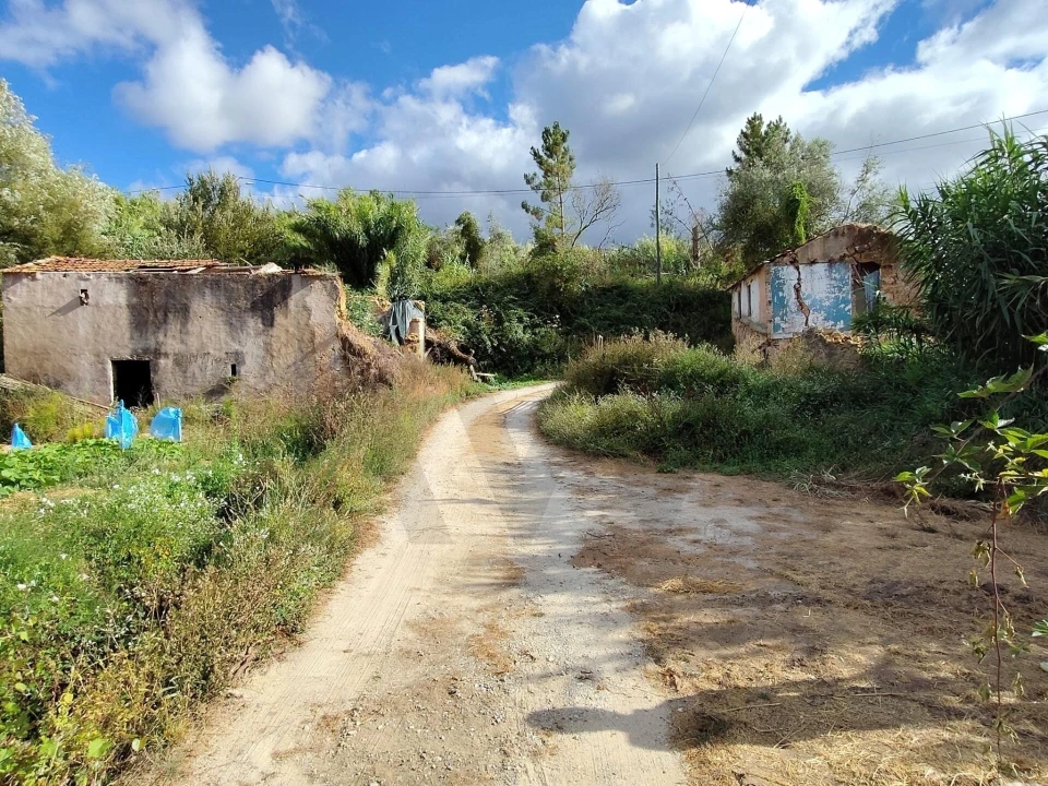 Quinta T3 para Venda em Condeixa-A-Velha e Condeixa-A-Nova Foto 16