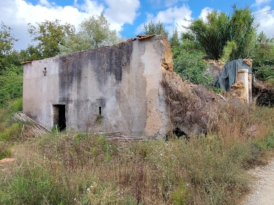 Quinta T3 para Venda em Condeixa-A-Velha e Condeixa-A-Nova Foto 5