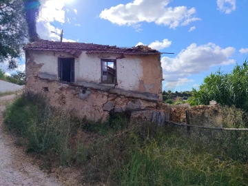 Quinta T3 para Venda em Condeixa-A-Velha e Condeixa-A-Nova