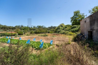 Quinta T3 para Venda em Condeixa-A-Velha e Condeixa-A-Nova