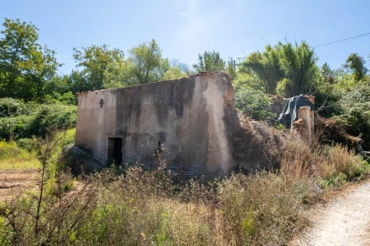 Quinta T3 para Venda em Condeixa-A-Velha e Condeixa-A-Nova