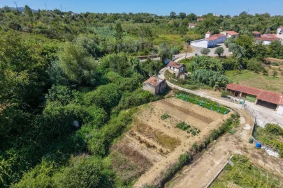 Quinta T3 para Venda em Condeixa-A-Velha e Condeixa-A-Nova