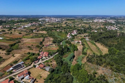 Quinta T3 para Venda em Condeixa-A-Velha e Condeixa-A-Nova