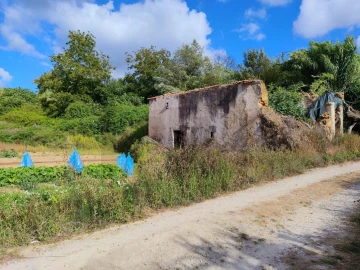 Quinta T3 para Venda em Condeixa-A-Velha e Condeixa-A-Nova