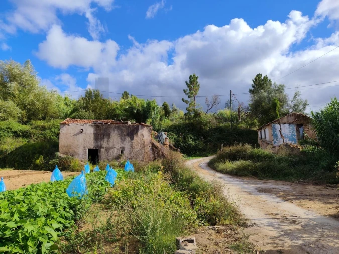 Quinta T3 para Venda em Condeixa-A-Velha e Condeixa-A-Nova Foto 9