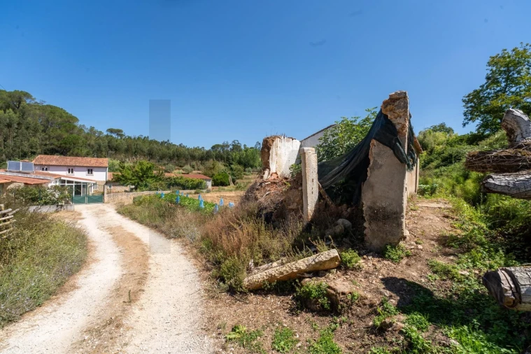 Quinta T3 para Venda em Condeixa-A-Velha e Condeixa-A-Nova Foto 29