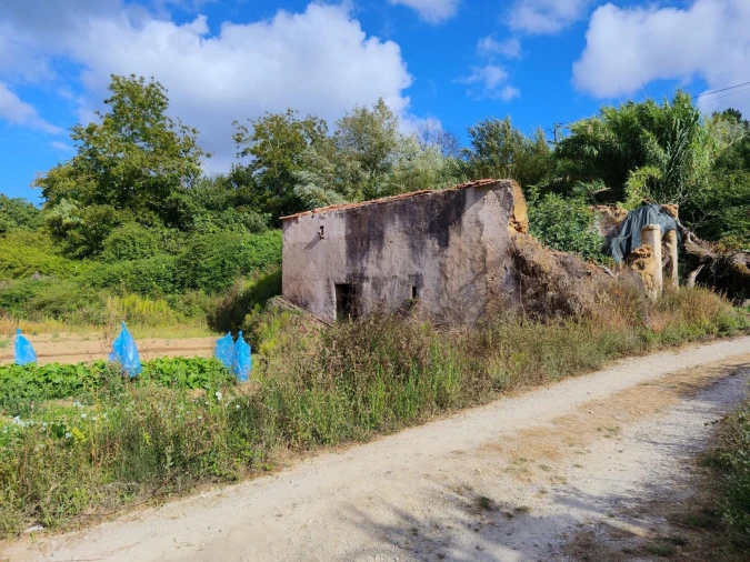 Quinta T3 para Venda em Condeixa-A-Velha e Condeixa-A-Nova Foto 19