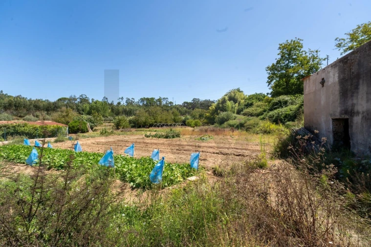 Quinta T3 para Venda em Condeixa-A-Velha e Condeixa-A-Nova Foto 28