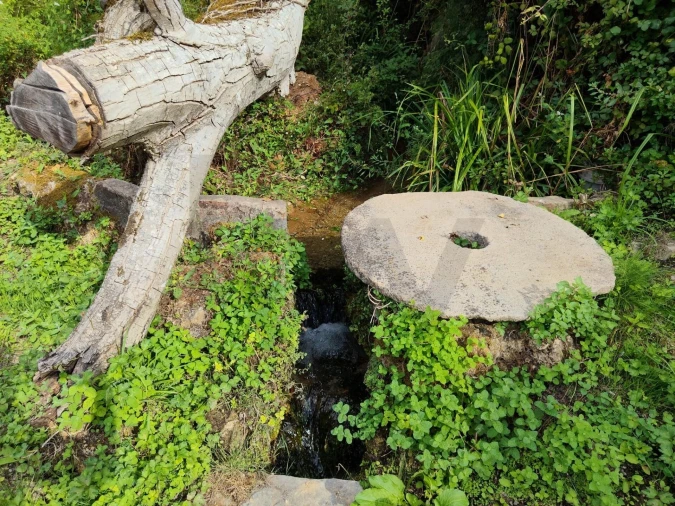 Quinta T3 para Venda em Condeixa-A-Velha e Condeixa-A-Nova Foto 17
