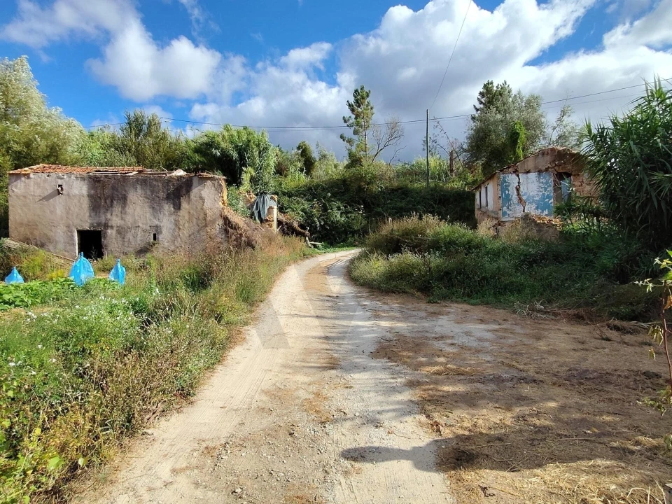 Quinta T3 para Venda em Condeixa-A-Velha e Condeixa-A-Nova Foto 12
