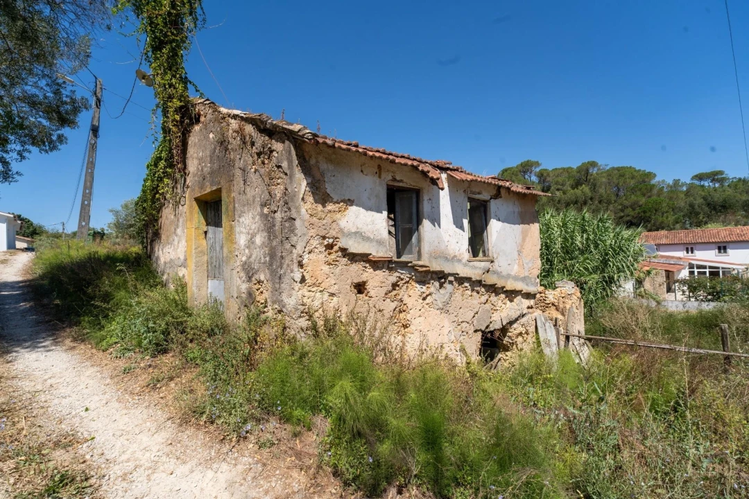 Quinta T3 para Venda em Condeixa-A-Velha e Condeixa-A-Nova Foto 30