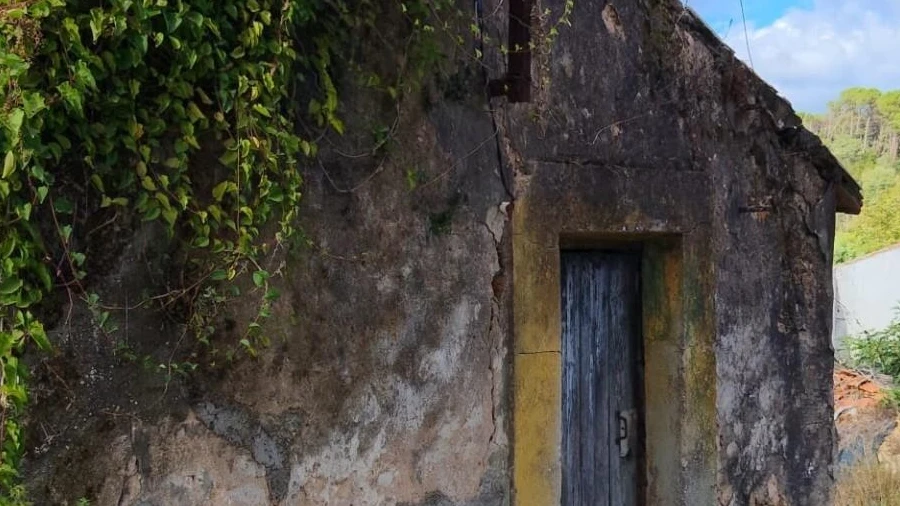 Quinta T3 para Venda em Condeixa-A-Velha e Condeixa-A-Nova